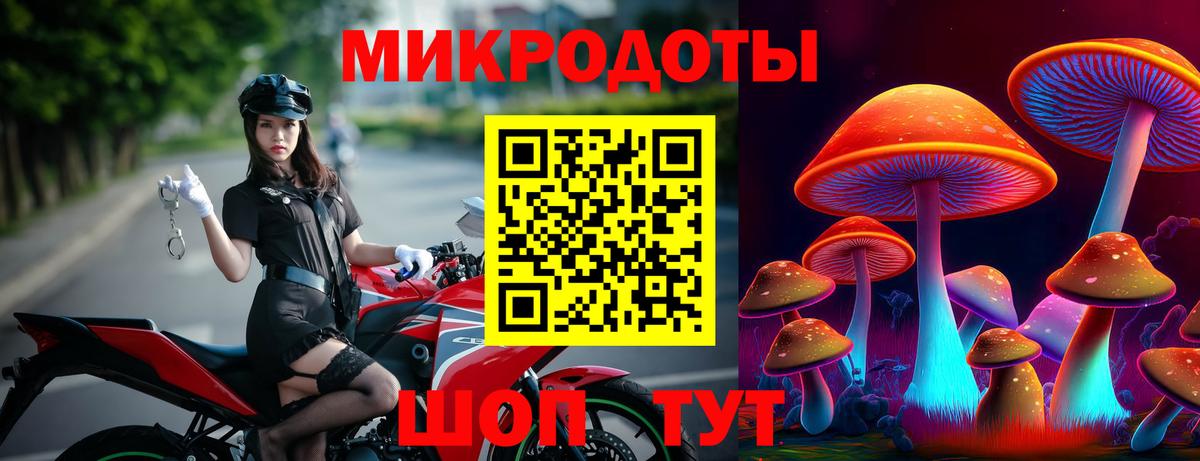 Псилоцибиновые грибы Psilocybe Семёнов